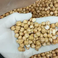 نخودچی شور دوآتیشه درجه یک