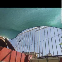 سایبان طوری سبز