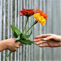 خط تلفن ثابت درخانی ابادتختی شوش