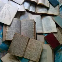 معلم خصوصی در مقاطع و دروس مختلف