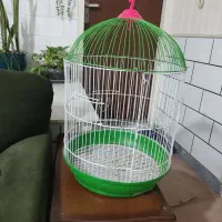قفس پرنده و لونه پرنده