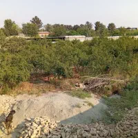 فروش باغ انار ۱۰۰۰ متری