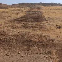 ۱۵۰۰متر زمین با امکانات آب وبرق
