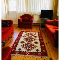 سرگرمی فراقت|کلکسیون و سرگرمی|زبرخان, |دیوار