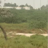 فروش ۲۰ هکتار زمین زراعی