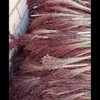 جارو بصورت عمده دره شهر