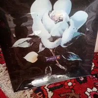 میوه خوری|ظروف سرو و پذیرایی|نجفآباد, شیخ بهایی جنوبی|دیوار