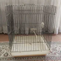 قفس پرنده