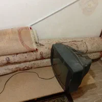 تلوزیون ۲۱ و دو عدد قالی