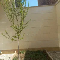 اجاره منزل نوساز شیک در فردوسی