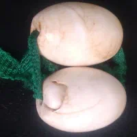 مهره قدیمی|بدلیجات|ایلام, |دیوار