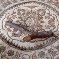 نشیمن گاه عروس هلندی