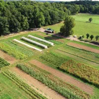 فروش زمین ۴۰۰ متری گیلان زیباکنار