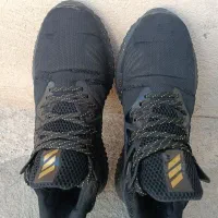 کفش اسپرت آدیداس ارجینال|کیف، کفش، کمربند|کرمانشاه, |دیوار