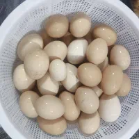 مرغ خروس محلی