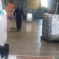 گمشده