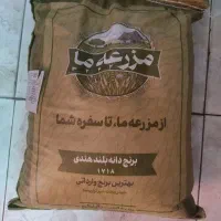 برنج هندی دانه بلند مزرعه