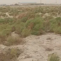 زمین کشاورزی