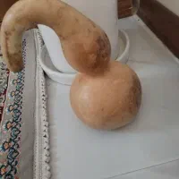 کدو تزعینی|مجسمه، تندیس، ماکت|مشهد, شهرک مطهری|دیوار