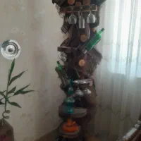 درختچه چوبی