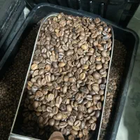 پخش عمده دان قهوه|عمده‌فروشی|سبزوار, طبرسی (جعفرآباد)|دیوار