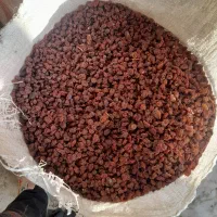 کشمش شیره دار ضایعات|خوردنی و آشامیدنی|مشگین شهر, |دیوار