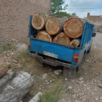 خرید انواع چوب درباغ