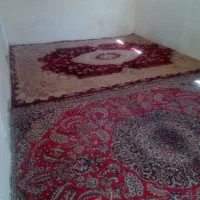اجاره روزانه خونه ویلایی دربست بدون مالک|اجارهٔ کوتاه‌مدت آپارتمان و سوئیت|مشهد, حرم مطهر رضوی|دیوار