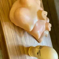 یک عدد مانکن سر و ۳ عدد مانکن تنه