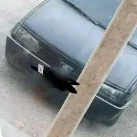 پژو 405 مدل 82 1.8لیتری|خودرو سواری و وانت|تهران, طیب|دیوار