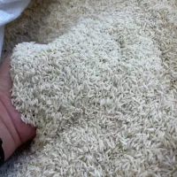 برنج صدری عمده و خورده فروشی
