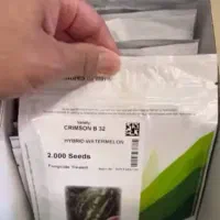 بذر فلفل دلمه ۹۳۲۵و غیره|خدمات باغبانی و درختکاری|شاهین‌شهر, پاسداران|دیوار