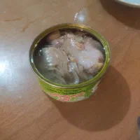 کنسرو سینه بوقلمون شنگر 180 گرم فروش ویژه|خوردنی و آشامیدنی|اصفهان, لاله|دیوار