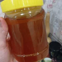 عسل طبیعی کوهستان