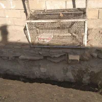 جا آشغالی  به ابعاد یک متر در ۵۰|لوازم نظافت|نهاوند, |دیوار