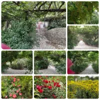 خدمات باغبانی(فروش گل و گیاه)