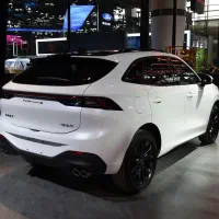 لاماری ایما