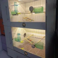 قفس اروپایی pvc