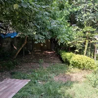 فروش ویلا باغ 1000 متری با باغ مرکبات بینظیر|فروش خانه و ویلا|امامزاده عبدالله, |دیوار