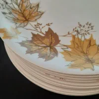 پلو خوری ملامین|ظروف سرو و پذیرایی|تهران, خزانه|دیوار