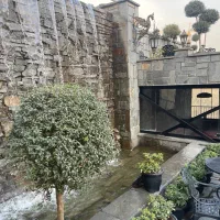 نیروی ساده و حرفه ای رستوران