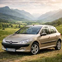 ۲۰۶ قیمت کاسبی