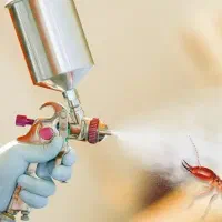 سمپاشی و موریانهزدایی مهاجر