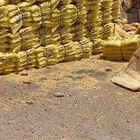 فروش پوشال کولر نانو ( سحر طبیعت)|کولر آبی|اصفهان, مولوی|دیوار