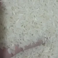 برنج فجر امساله زیر قیمت