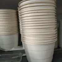 کاسه گیاهی