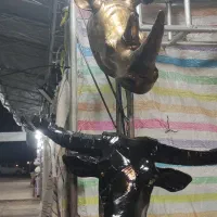 دکوری مستقیم از توایدی شهرستان سلماس