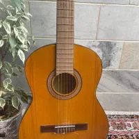 گیتار ایرانی