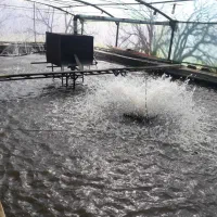 اجاره یا شراکت در استخر|اجارهٔ دفتر صنعتی، کشاورزی، تجاری|رباط‌کریم, نوده|دیوار