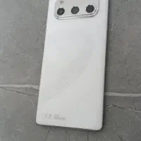 داریا باند امارت